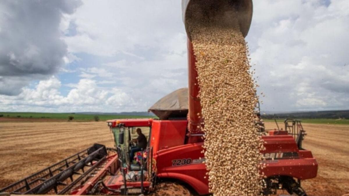 Feijão carioca bate recorde e puxa alta do mercado em fevereiro