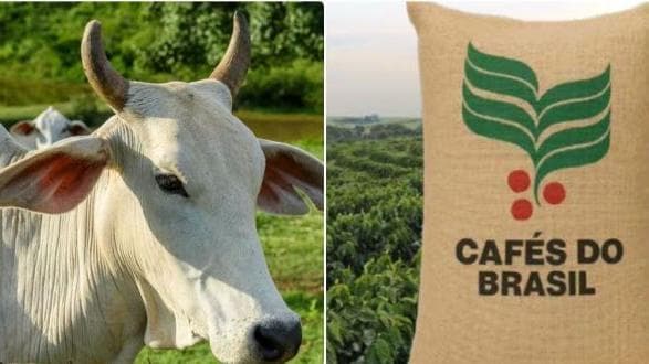 Café e carne bovina seguem sem previsão de queda para o consumidor
