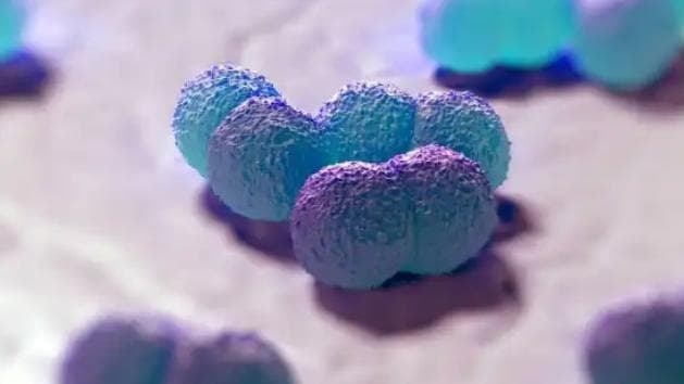 Estudo alerta que mortes por meningite seguem acima da meta estabelecida pela OMS