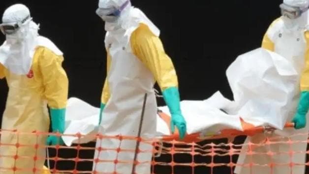 Surto de ebola já matou mais de 500 pessoas na República Democrática do Congo, alerta OMS