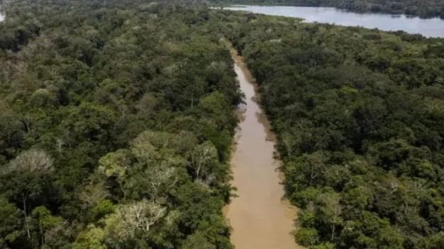 Estudo alerta que Amazônia pode perder até 38% de sua cobertura florestal até 2060