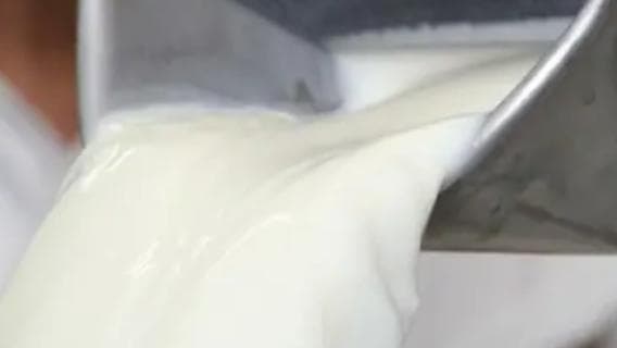 MG proíbe venda de leite líquido feito com leite em pó importado