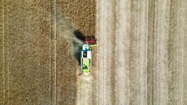 Agropecuária lidera crescimento da economia paulista no segundo trimestre de 2026