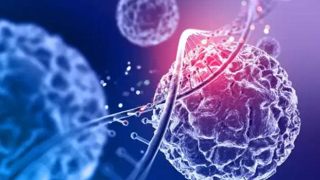 Sarcoma: conheça os sintomas, tipos e como é feito o tratamento